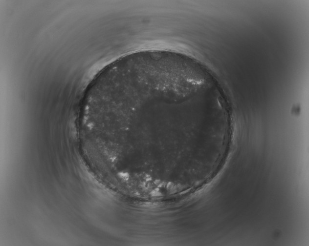 X0000116121497200912211643