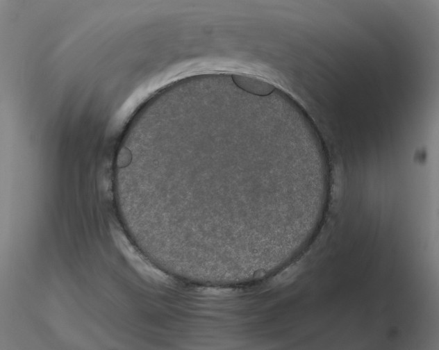 X0000116121499200912211643