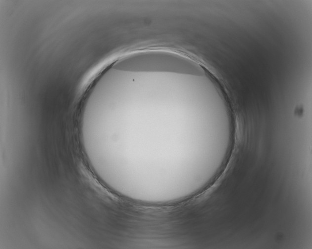 X0000116121502200912211643