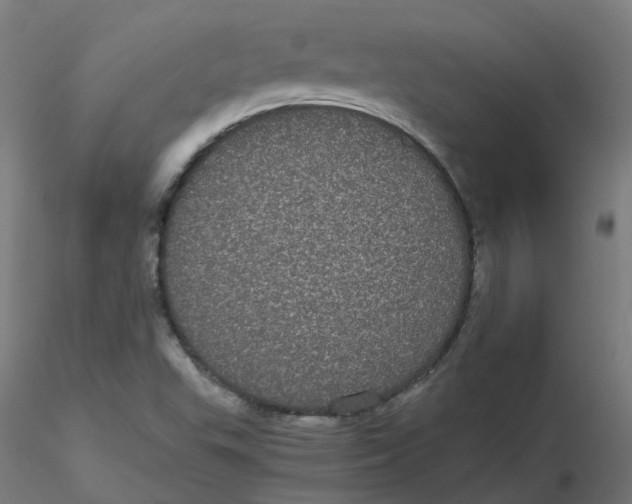 X0000116121503200912211643