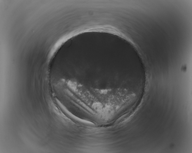 X0000116121506200912211643