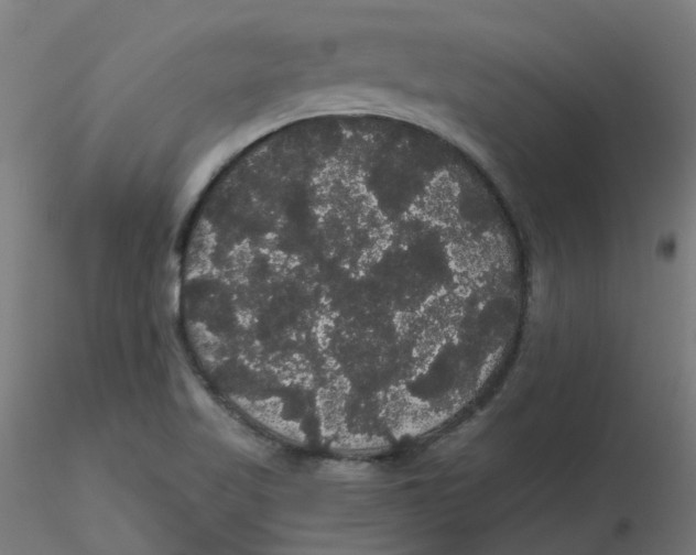 X0000116121509200912211643