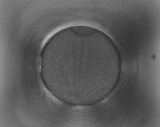 X0000116121510200912211643