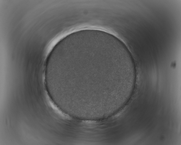 X0000116121511200912211643
