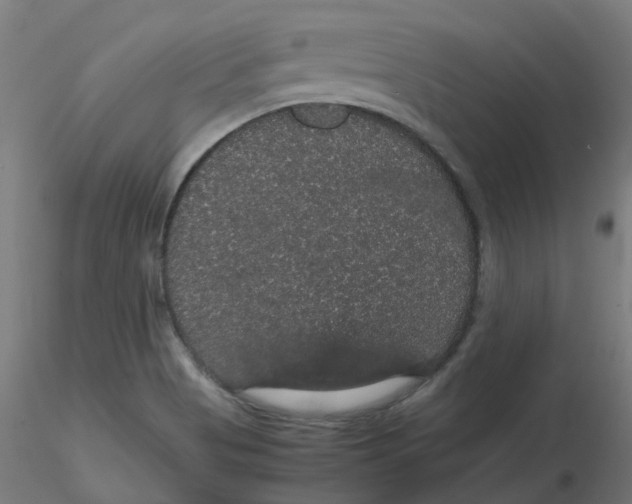 X0000116121513200912211643