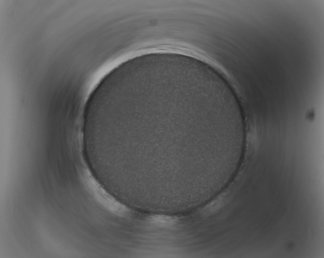 X0000116121514200912211643