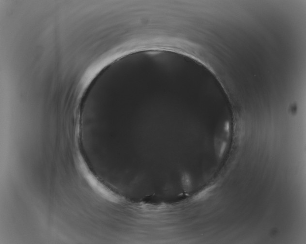 X0000116121515200912211643