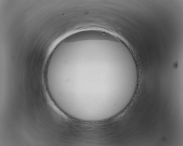 X0000116121518200912211643
