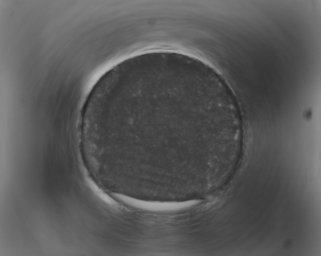 X0000116121519200912211643