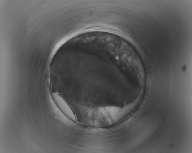 X0000116121522200912211643