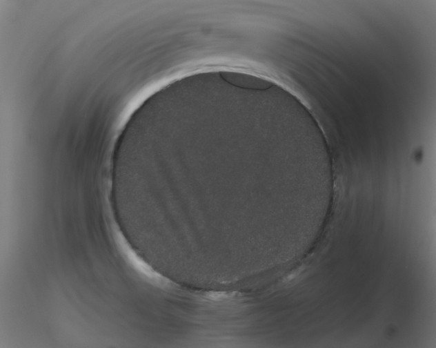 X0000116121523200912211643