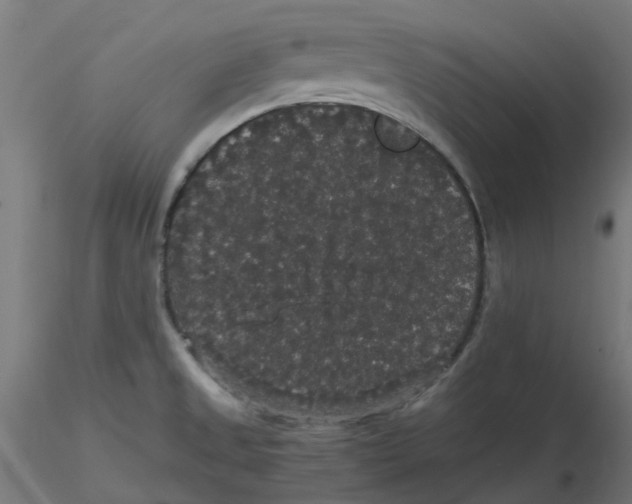 X0000116121525200912211643