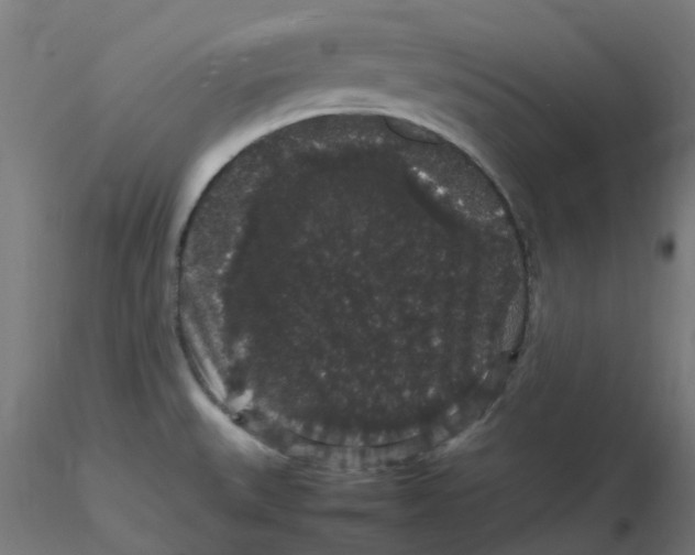 X0000116121527200912211643