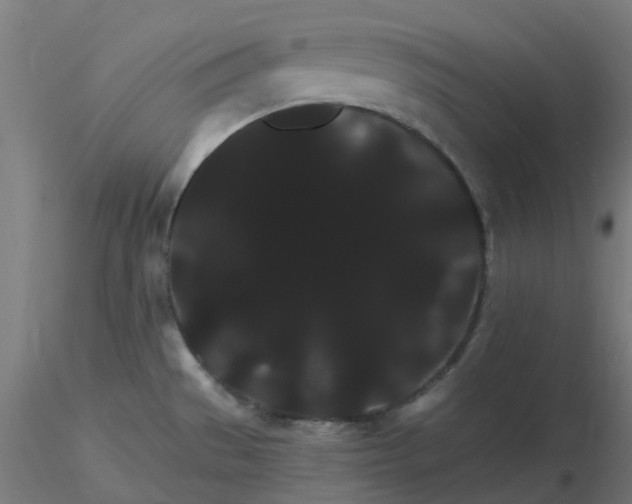 X0000116121529200912211643