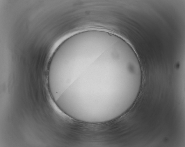 X0000116121531200912211643