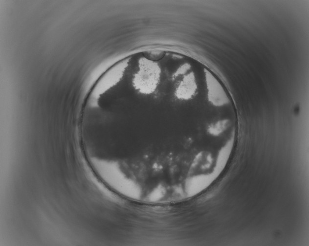 X0000116121533200912211643