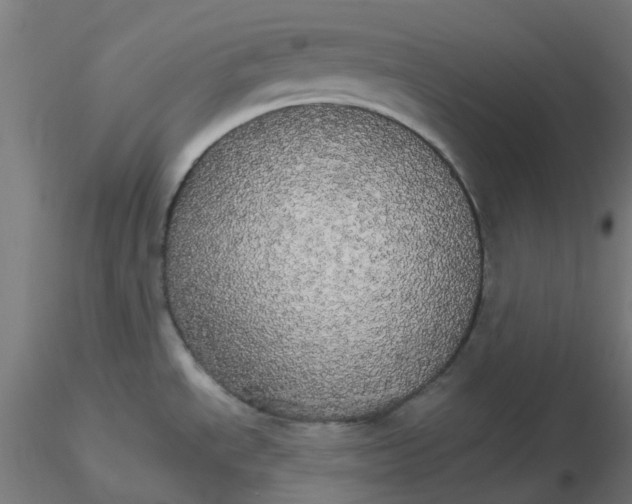 X0000116121534200912211643