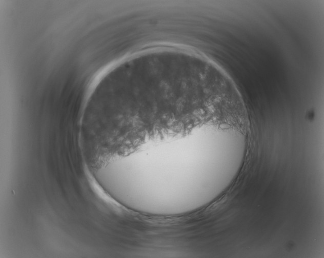 X0000116121535200912211643