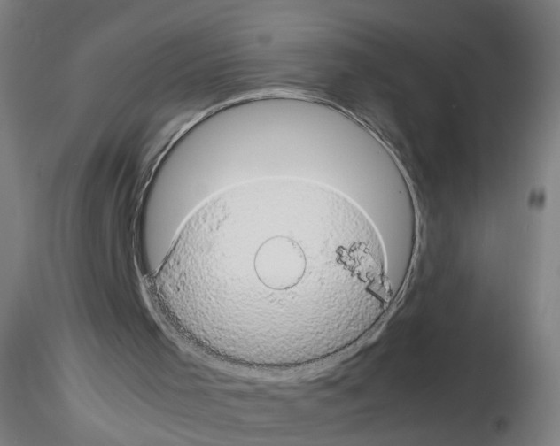 X0000116120001201001041000