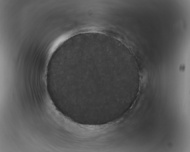 X0000116120006201001041000