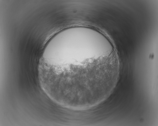 X0000116120010201001041000