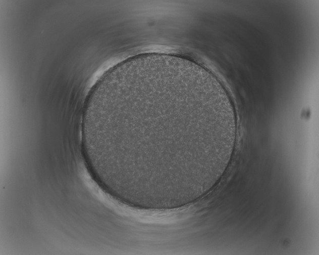 X0000116120011201001041000