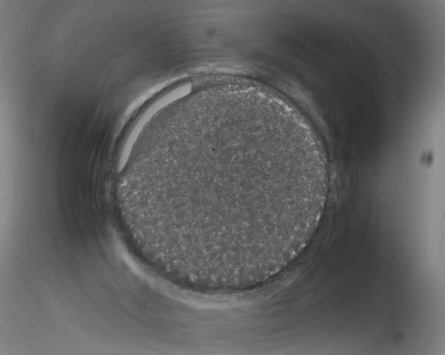 X0000116120012201001041000