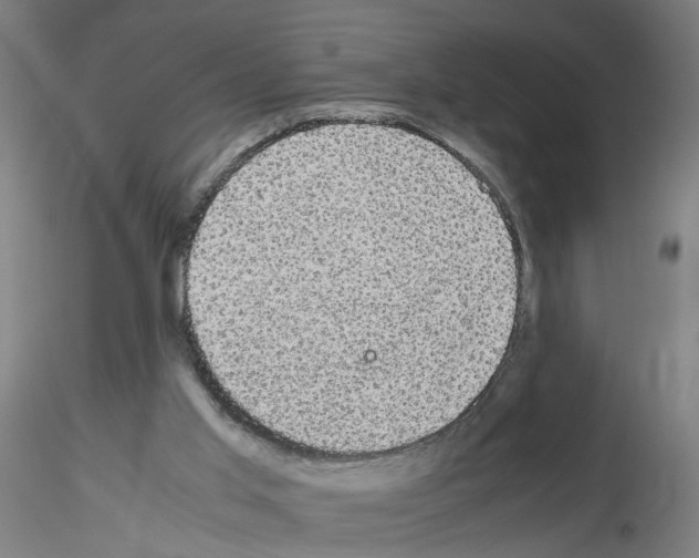 X0000116120013201001041000