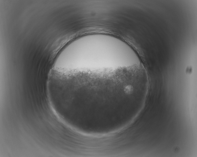X0000116120014201001041000