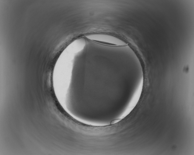 X0000116120019201001041000
