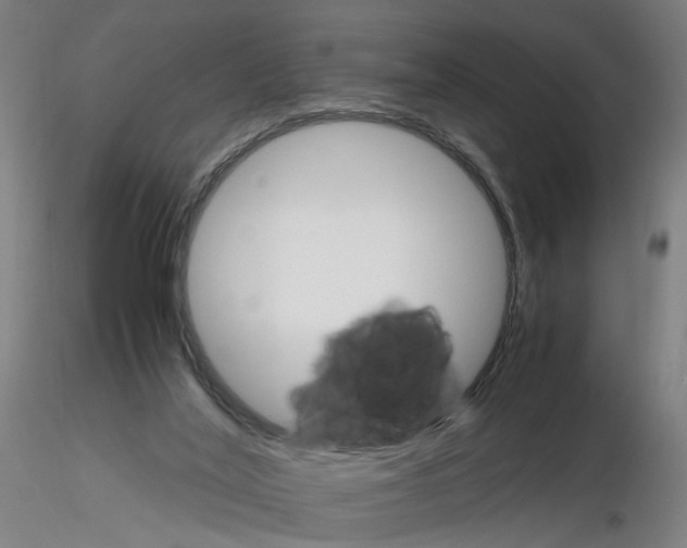 X0000116120020201001041000