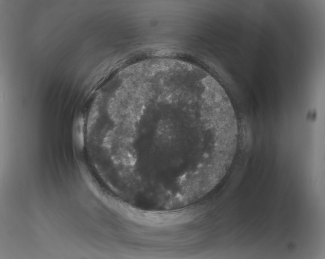 X0000116120022201001041000