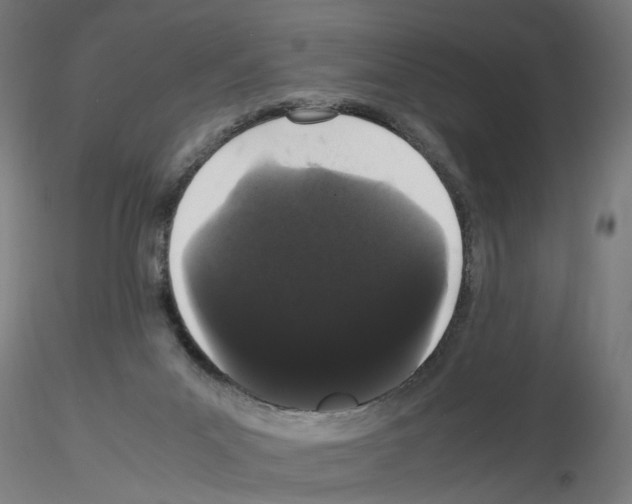 X0000116120023201001041000