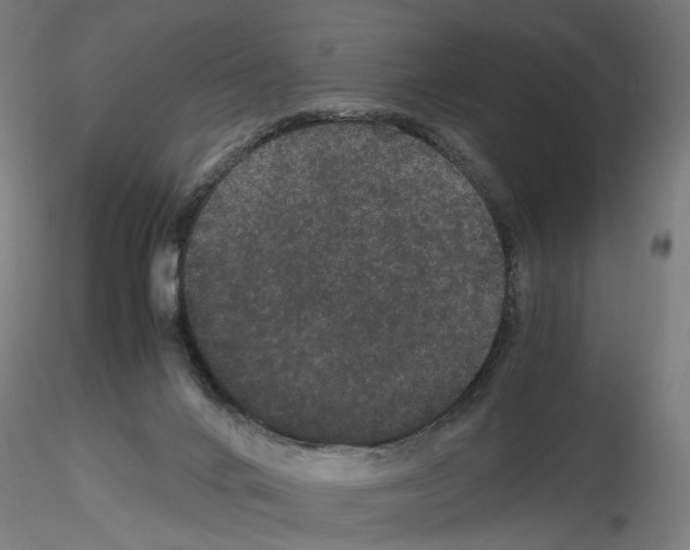 X0000116120024201001041000
