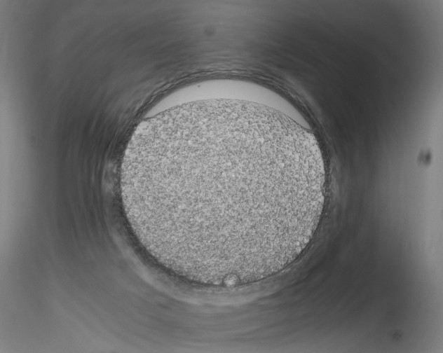 X0000116120025201001041000