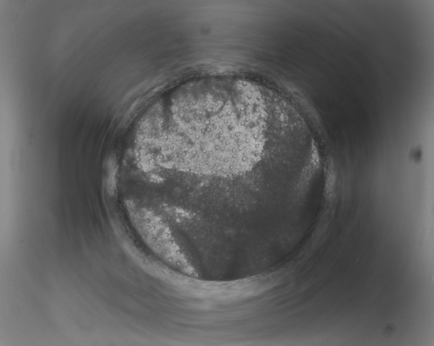 X0000116120026201001041000