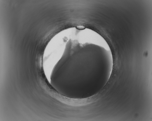 X0000116120027201001041000