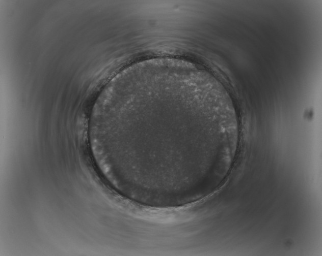 X0000116120029201001041000