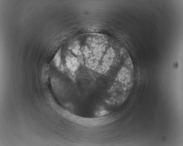 X0000116120030201001041000