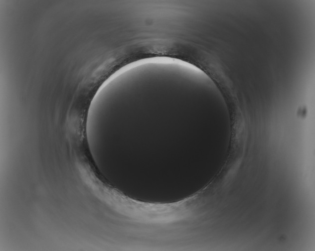 X0000116120031201001041000