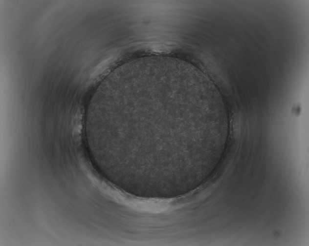 X0000116120032201001041000