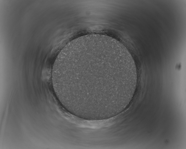 X0000116120033201001040959