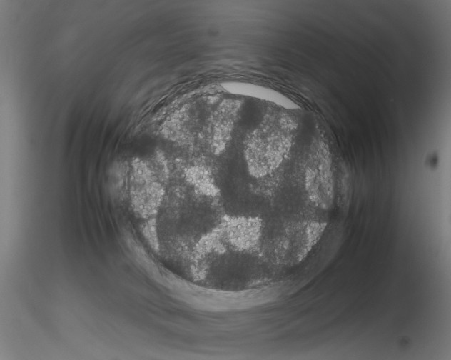 X0000116120034201001040959