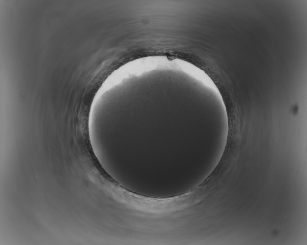 X0000116120035201001040959