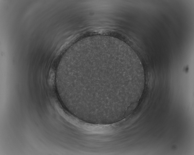 X0000116120036201001040959