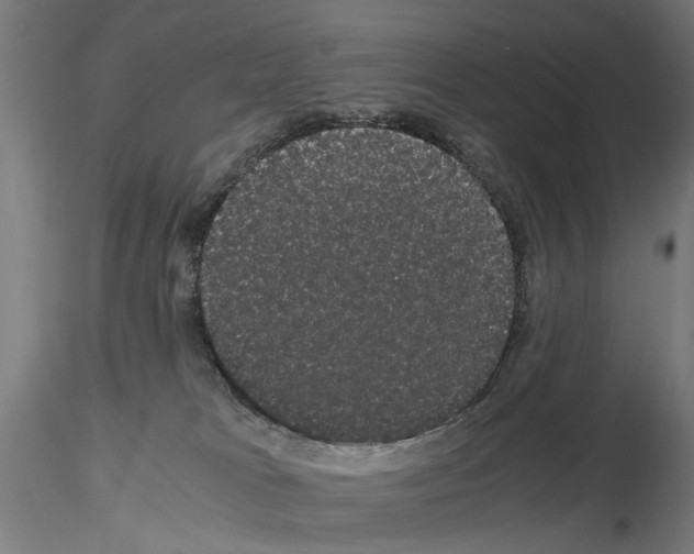 X0000116120037201001040959