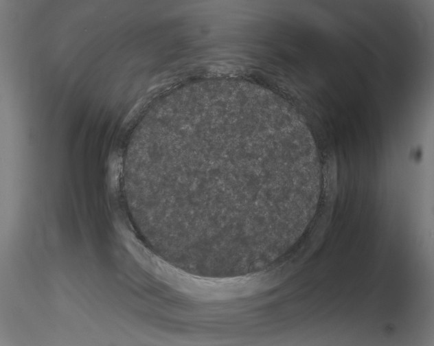 X0000116120038201001040959