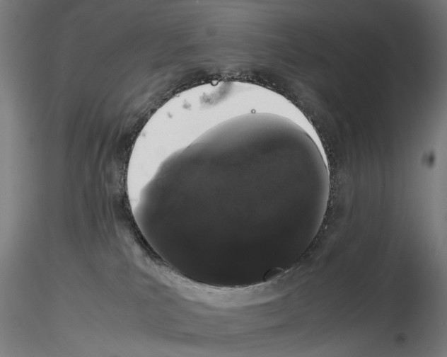 X0000116120039201001040959