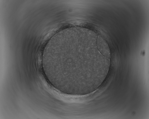 X0000116120040201001040959