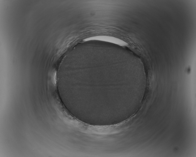X0000116120041201001040959